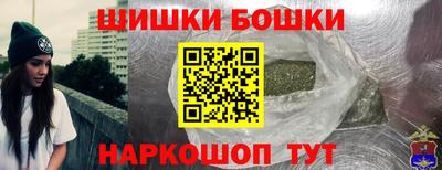 МДПВ Лесосибирск